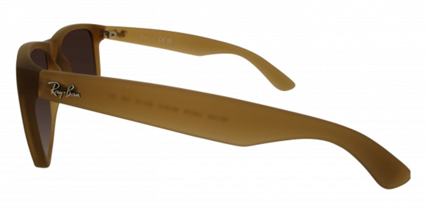 Ray-Ban 4165 21
