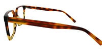 DELL 21