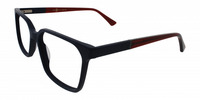 SHAWN 11