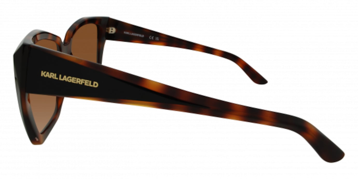 Karl Lagerfeld KL6072S 21