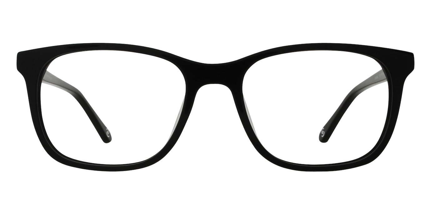 FASANO 01