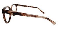 MERLE 21