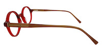 BALDRIC 21