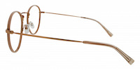 ILSA 21