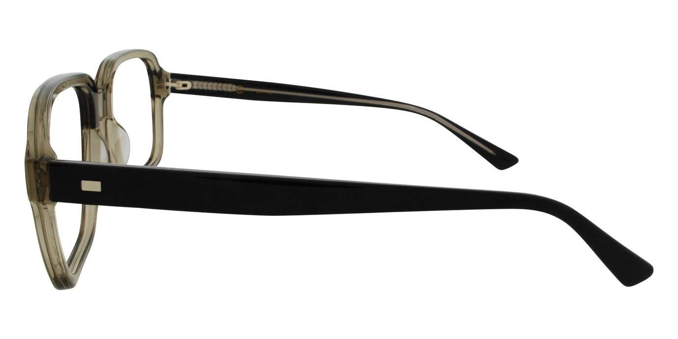 HARVE 21