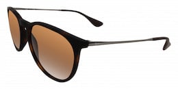 Ray-Ban Erika 4171 Ray-Ban Erika 4171