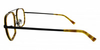 NOLL 21