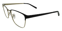 ENNIO 11