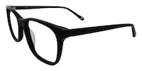 FASANO 11