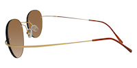 PEG 21