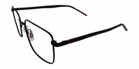 Hugo Boss HG1379 11