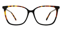 SUZAN 01