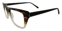 EVERT 11