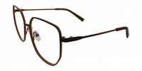 ALOISIA 11