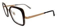 LIESA 11