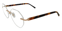 ERNA 01