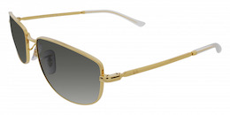 Ray-Ban 3732