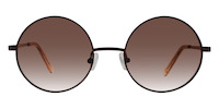 ROSA 01