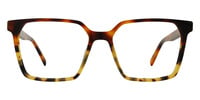 DELL 01
