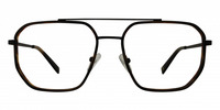 NOLL 01