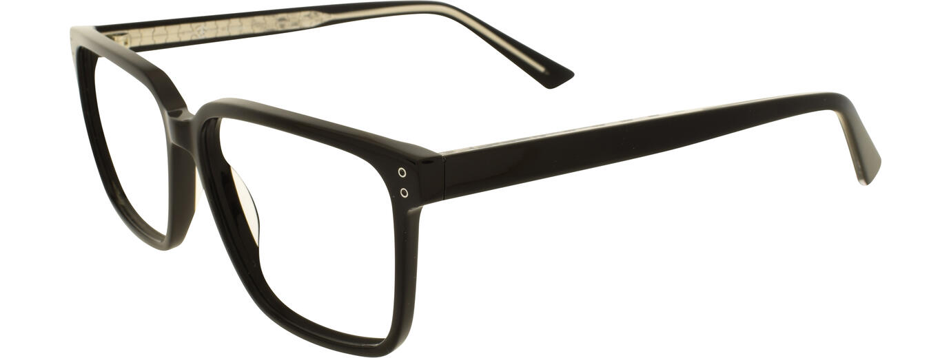 EBNER 01